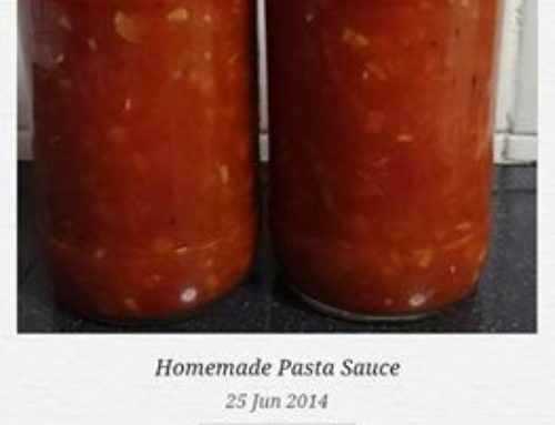 Homemade Pasta Sauce (Made 2 jars) – by Cyndi See