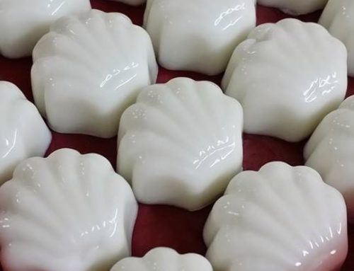 Coconut Milk Pudding Recipe – By Fiona Low