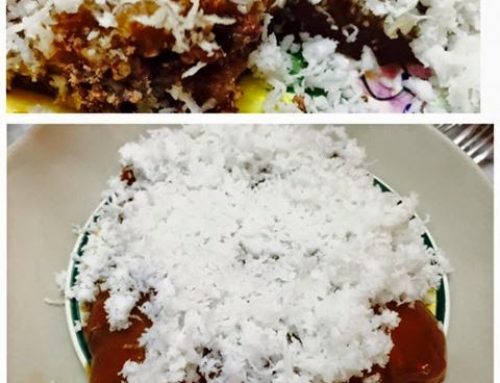 Stuffed nian gao – by Irene Kwek